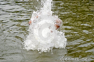 Man under the water drops - stock photograph Stock Photo