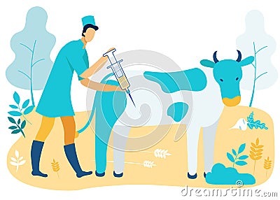 Man Veterinarian with Syringe Inject Cow. Vector. Vector Illustration