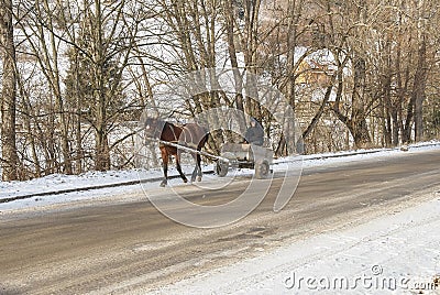 Man on a wagon ride pulled by draft horse Editorial Stock Photo