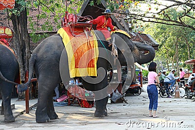 Man waiting for tourists to ride on elephant Editorial Stock Photo