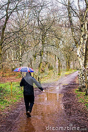 A man walikng through a forest with an umbrella Stock Photo