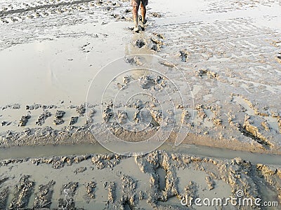 Man walk and lots foot print on dirty muddy ground Stock Photo