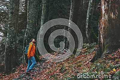 Man walking alone in deep forest Travel healthy active lifestyle Stock Photo