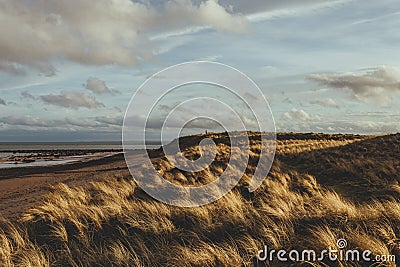 Man walking along the North Sea coast in Brora Stock Photo
