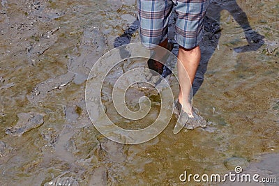 A man are walking barefoot in mud, feet of a man standing on the ground and step walk on the mud, adult feet in mud, muddy wet and Stock Photo