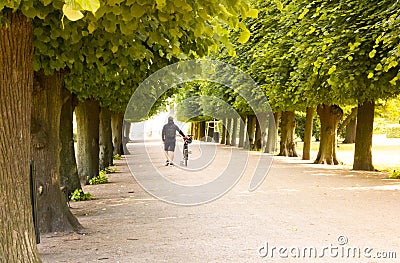 Man walking with bicycle in the park Editorial Stock Photo