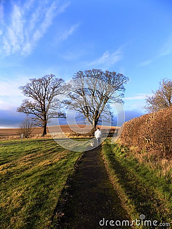 Man walking dog in Northumberland, UK Stock Photo