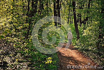 Man walking on a forest path in spring scenery Stock Photo