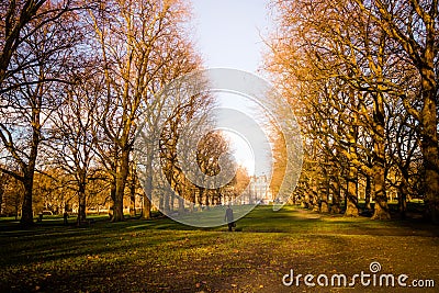 A man walking through Green Park in London Editorial Stock Photo