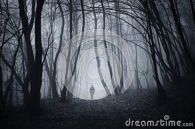 Man walking in Halloween mysterious forest with fog Stock Photo