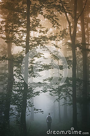 Man walking in foggy forest at sunset Stock Photo