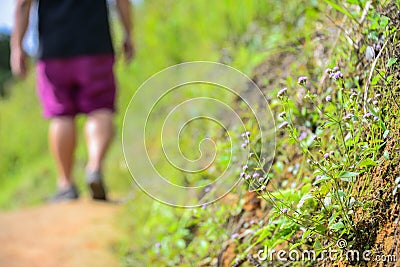 A man walking to the hill Stock Photo