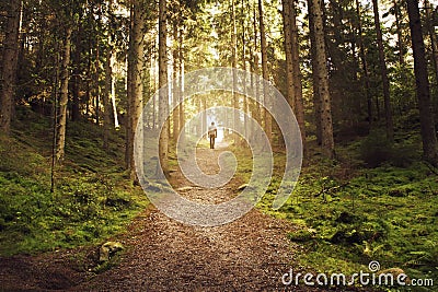 Man walking up path towards the light in magic forest. Stock Photo