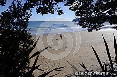 Man walks on a beach Editorial Stock Photo