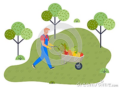 Man wearing overalls and ruber gloves pushing wheelbarrow full of fresh organic vegetables Vector Illustration