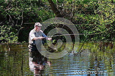 A Man Fly Fishing on a River. Editorial Stock Photo