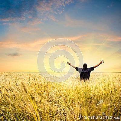 Man in wheat field Stock Photo