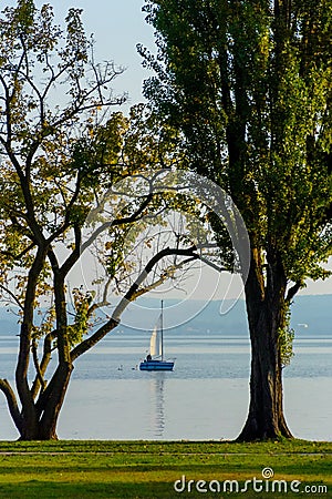 Man on the white yacht on the lake feeding swans. Stock Photo