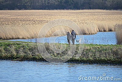 Man and woman from behind go for a walk in the nature with the dog over a dike through a landscape from water and reeds, copy Stock Photo