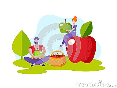 Man and Woman Harvest Apples Red Apples in Basket. Vector Illustration