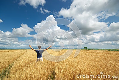 Man in yellow wheat meadow Stock Photo