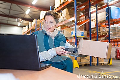 Manager scanning box while typing on laptop in warehouse Stock Photo