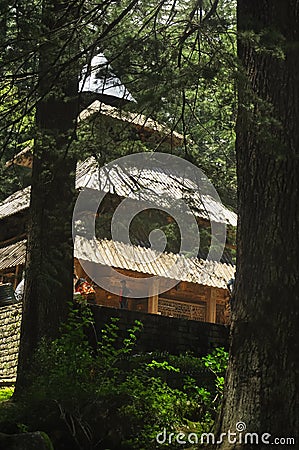 View of Hadimba Devi Temple from among cedar trees Editorial Stock Photo