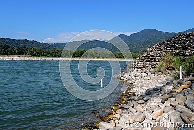 Manas National Park India. Stock Photo