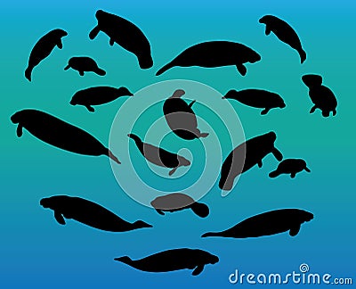 Manatee silhouette Vector Illustration