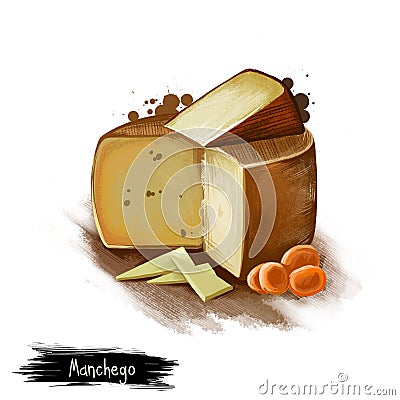 Manchego cheese with dried fruits digital art illustration isolated on white background. Fresh dairy product, healthy organic food Cartoon Illustration