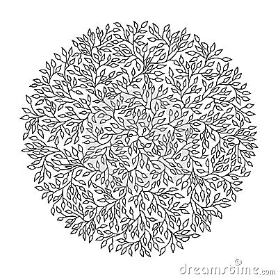 Mandala circle pattern. Round tree leaves ornament. Vector illustration. Vector Illustration