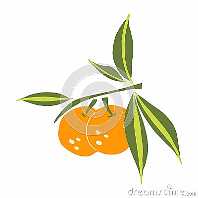 Mandarin branch. Exotic tropical orange citrus fresh fruit, whole juicy tangerine with green leaves vector cartoon minimalistic Vector Illustration