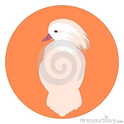 mandarin duck bird vector illustration style Flat Vector Illustration