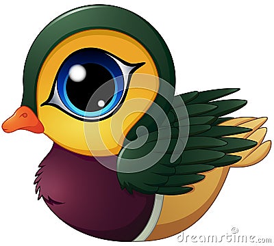 Mandarin duck cartoon Vector Illustration