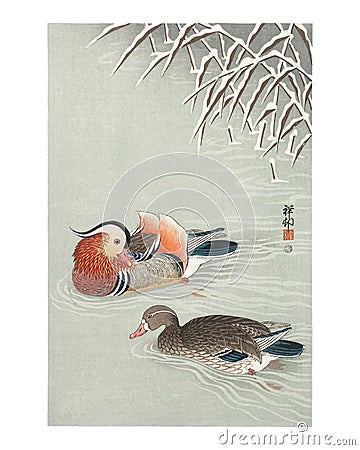 Mandarin ducks vintage illustration by Ohara Koson. Digitally enhanced by rawpixel Cartoon Illustration