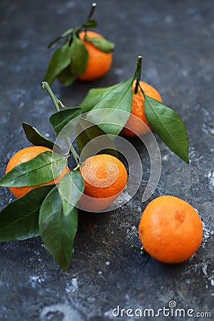 Mandarin is the fruit of an evergreen plant. Bright orange peel has... Mandarins are thought to have appeared in China, from where Stock Photo