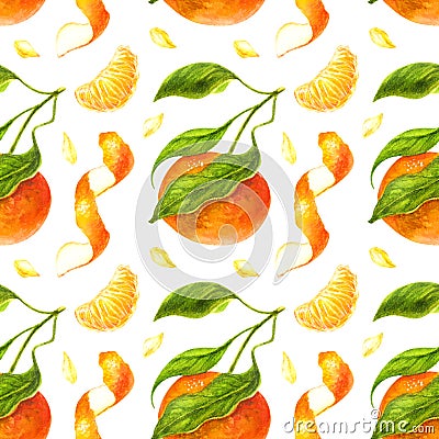 Mandarin and green leaves watercolor seamless pattern Cartoon Illustration
