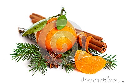 Mandarin orange, cinnamon, anise and tree branch Stock Photo