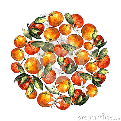 Circle of tangerines, leaves and flowers on a white background. Drawing markers Stock Photo