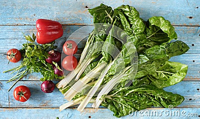 Mangel,chard,common beet,Beta vulgaris and organic vegetables, Stock Photo