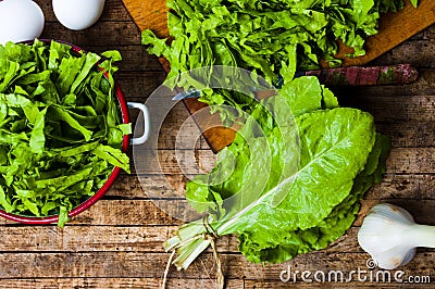 Mangel green cabbage vegetable close up Stock Photo