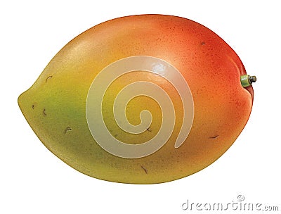 Mango Cartoon Illustration