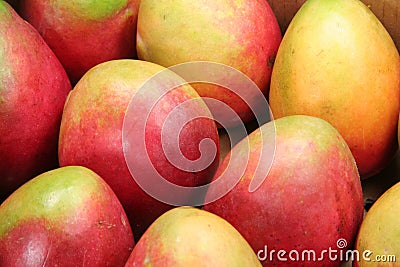 Mango Stock Photo