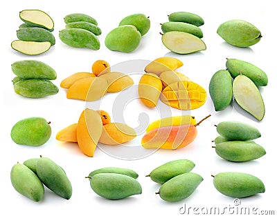 Mango collection isolated on a white Stock Photo