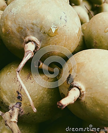 Mango. Delicious Food. Stock Photo