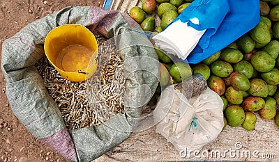 Mango and dryed fish Stock Photo