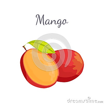 Mango Exotic Juicy Stone Fruit Vector Isolated Vector Illustration