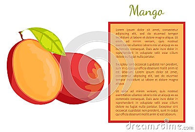 Mango Exotic Juicy Stone Fruit Vector Poster Text Vector Illustration