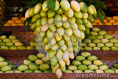 Mango festival. Stand with fresh mango fruits in the street market Stock Photo