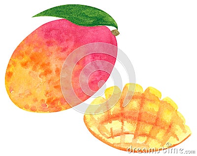 Mango fruit clipart set. Hand drawn watercolor illustration Cartoon Illustration